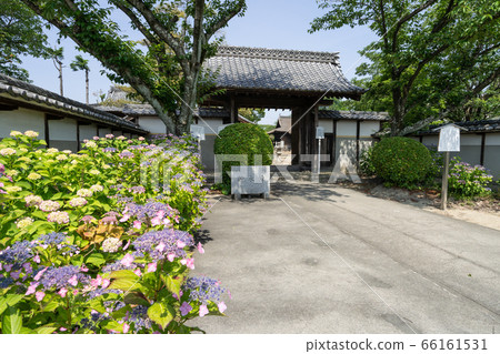 大塚自然海神廟三門 66161531