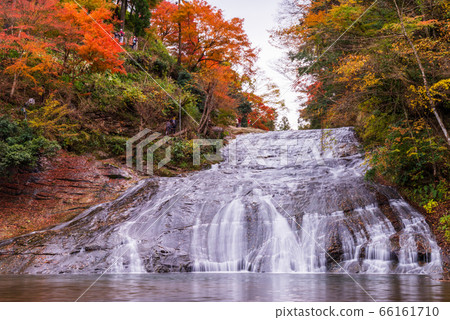 (Chiba Prefecture) Awamataki Falls in Boso Yoro Valley 66161710