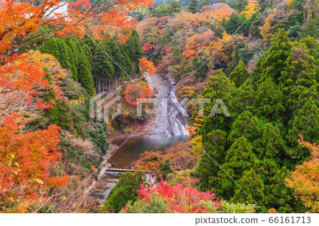 (Chiba Prefecture) Awamataki Falls in Boso Yoro Valley (Chiba Prefecture) Awamataki Falls in Boso Yoro Valley 66161713