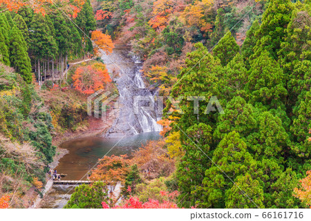 (Chiba Prefecture) Awamataki Falls in Boso Yoro Valley 66161716