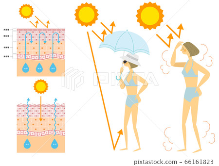 一個女人在泳裝上曬傷皮膚結構的插圖 66161823