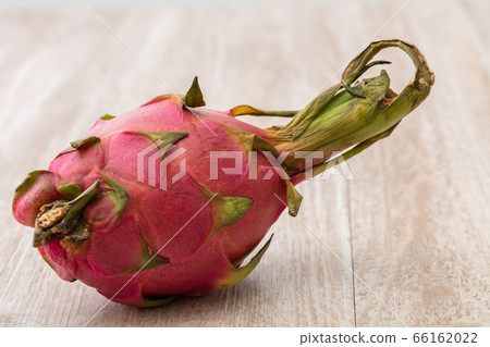 Dragonfruits with tropical fruits on top of trees 66162022