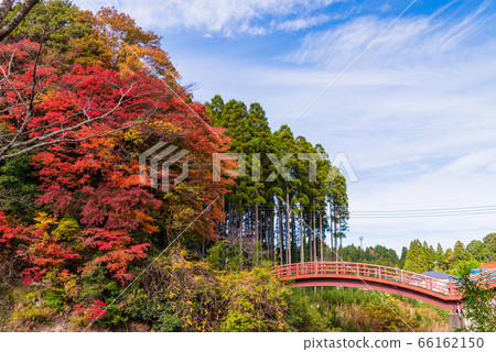 (Chiba Prefecture) Autumn leaves of Boso Yoro Valley 66162150
