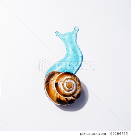 Creative image of cosmetics with snail Concept Facial Body Care with Snail Slime 66164755