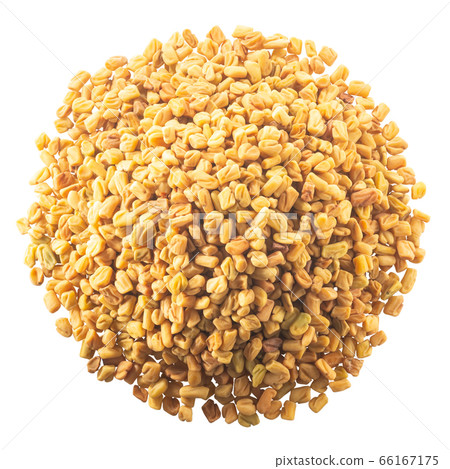 Pile of fenugreek seeds (Trigonella species) or shambala isolated w paths, top view 66167175