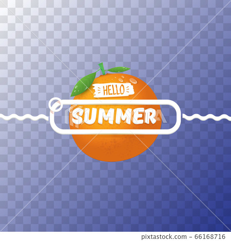 Vector Hello Summer party label or flyer Design template with fresh orange fruit transparent on abstract background. Hello summer concept label or poster with fruit and letternig text Vector Hello Summer party label or flyer Design template with fresh orange fruit transparent on abstract background. Hello summer concept label or poster with fruit and letternig text 66168716