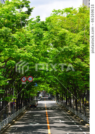 新鮮綠色商務區 新鮮綠色商務區 66169618