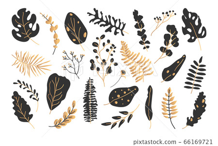Tropical gold black leaf exotic floral vector set - Stock Illustration ...