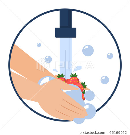 Hand washing berries vector isolated. Wash food Hand washing berries vector isolated. Wash food 66169932