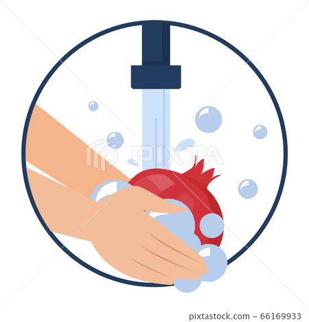 Hand washing pomegranate vector isolated. Wash fruits Hand washing pomegranate vector isolated. Wash fruits 66169933