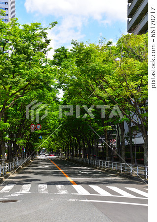 新鮮綠色商務區 66170217