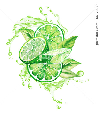 Limes and leaves in the splash of green juice 66170278