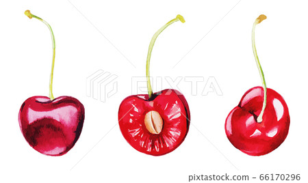 Three red cherries, the watercolor berry set, Three red cherries, the watercolor berry set, 66170296