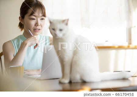 A woman with a computer at home Living with a cat 66170458
