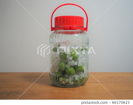 手工梅花糖漿的製備 手工梅花糖漿的製備 66170625