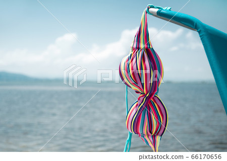 bikini drying on a deck chair bikini drying on a deck chair 66170656