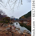 視圖 66171894