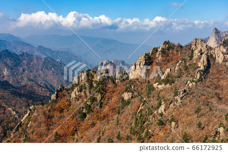 雪嶽山恐龍嶺秋天 66172925