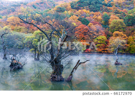 Fall of the main province 66172970