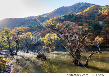 Fall of the main province 66172978