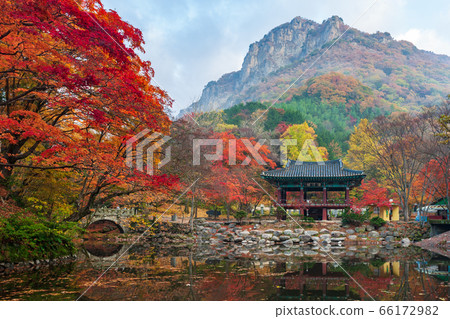 Fall of Baekyangsa Temple 66172982