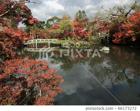 Hosei Pond, Gokuraku Bridge and Autumn Leaves at Zenrinji Temple (Eikando) in Kyoto 66173272