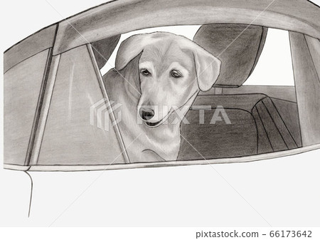 透過車窗看狗的鉛筆圖 插圖素材 圖庫 透過車窗看狗的鉛筆圖 插圖素材 圖庫