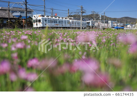 和歌山電鐵岸川線 和歌山電鐵岸川線 66174435