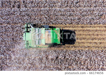 Aerial image of a Large Cotton picker harvesting a field. 66174656
