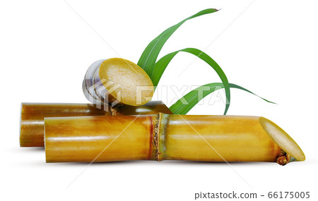 Sugarcane isolated on white background 66175005