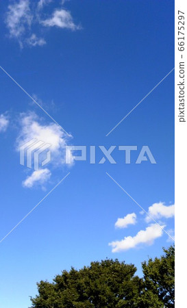 公園裡的夏日天空 66175297