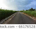 The country road of Miyakojima 66176528