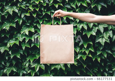 Hand holding paper bag. 66177531