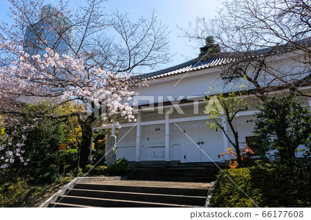 左上寺和佛經在春天在東京 66177608