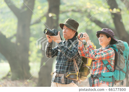 Senior couple's hobby trekking 66177800