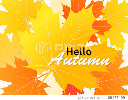Hello autumn on orange maple leaf background. - Stock Illustration ...
