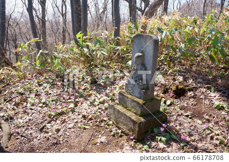 Ura-Usu Town, Hokkaido Flower and Jizo 66178708