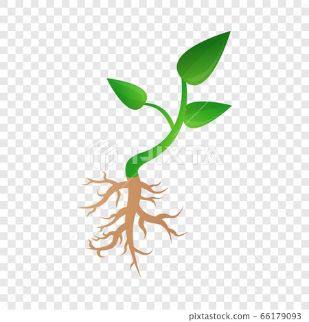 Small plant soybean icon, cartoon style Small plant soybean icon, cartoon style 66179093