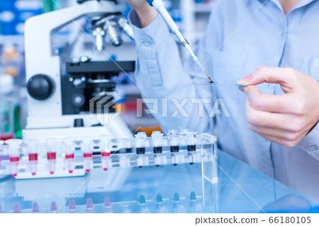 Microscope slide in the laboratory 66180105