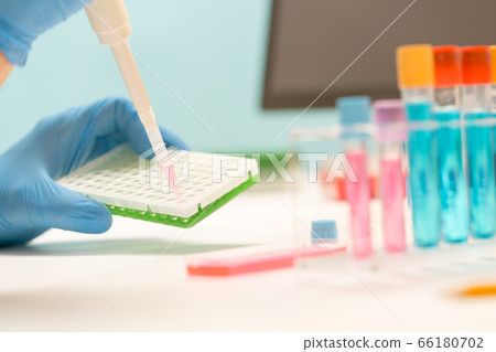 Laboratory of genetic research. PCR plates and Laboratory of genetic research. PCR plates and 66180702