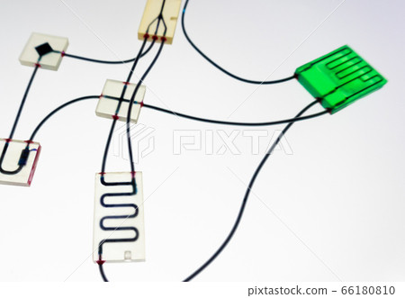 Organ-on-a-chip (OOC) - microfluidic device chip 66180810
