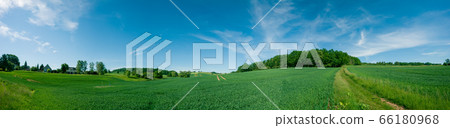 Panorama of summer green field. European rural Panorama of summer green field. European rural 66180968