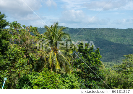 Summer tropical forest hills with a cloudy sky. Mountains and white clouds on a blue sky. Tropical summer holiday vacation concept. Summer tropical forest hills with a cloudy sky. Mountains and white clouds on a blue sky. Tropical summer holiday vacation concept. 66181237