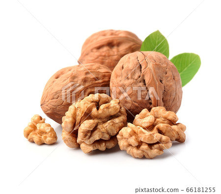 Walnuts with leaves Walnuts with leaves 66181255