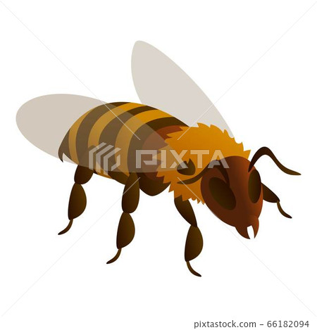 Bee icon, isometric style Bee icon, isometric style 66182094