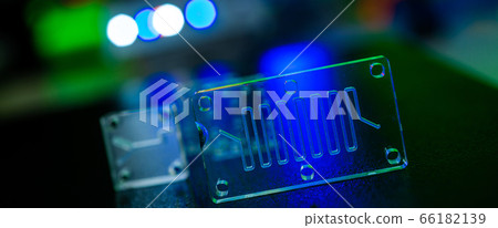 Organ-on-a-chip (OOC) - microfluidic device chip 66182139