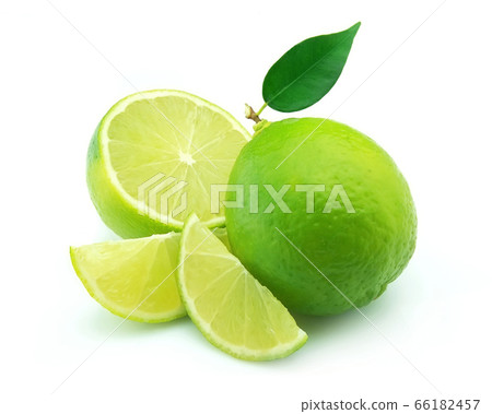 Lime citrus Lime citrus 66182457