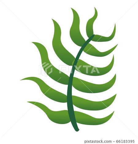 Rainforest leaf icon, cartoon style 66183395