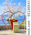 Sakura full bloom Onomichi Lover's sacred place Watercolor style illustration 66186643