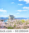Cherry blossoms in full bloom Onomichi Castle watercolor style illustration (weak contour) 66186644
